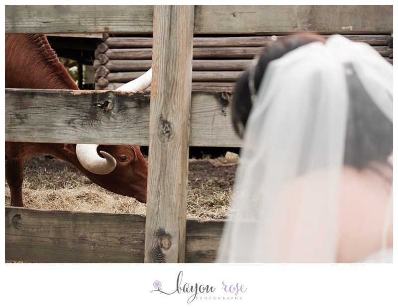 Baton Rouge Wedding Photographer Rural Life Bridal 21