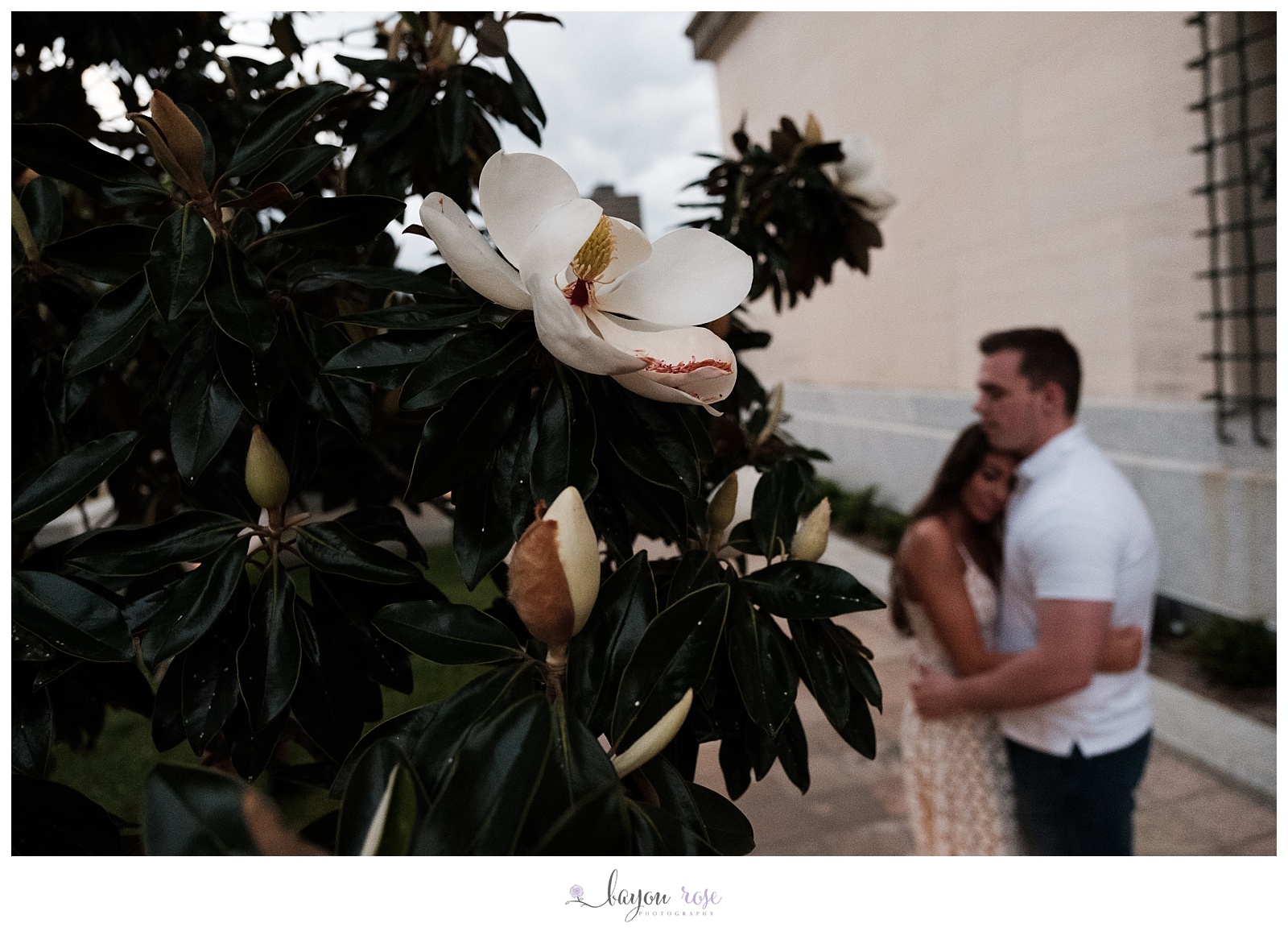 magnolia on tree with couple in background