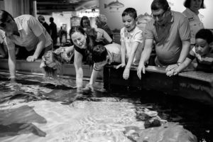 A female Baton Rouge photographer feeling stingrays in pool at aquarium