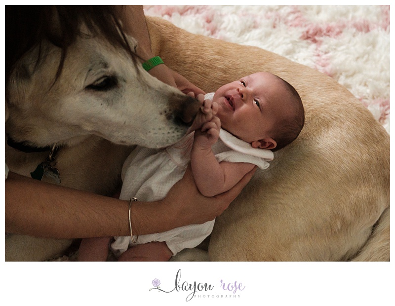 newborn baby meeting family dog