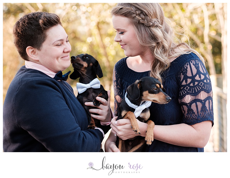 Couple holding two daschund dogs during engagement session, one dog licking nose of owner