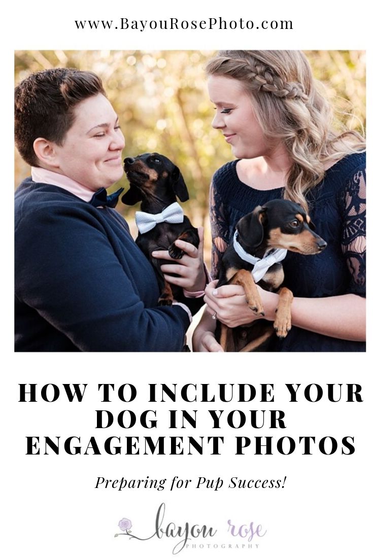 Graphic of couple holding two daschund dogs during engagement photos