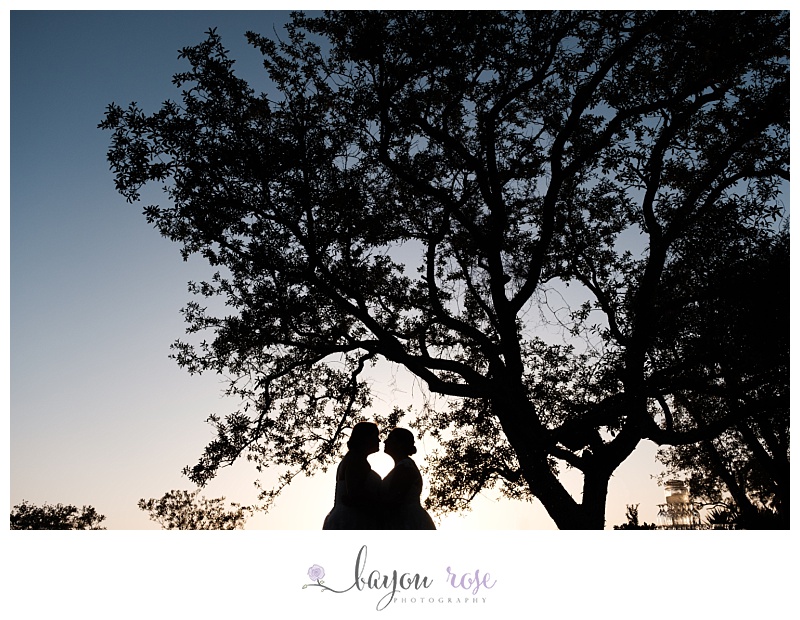 gay wedding silhouette of two brides against sky near trees
