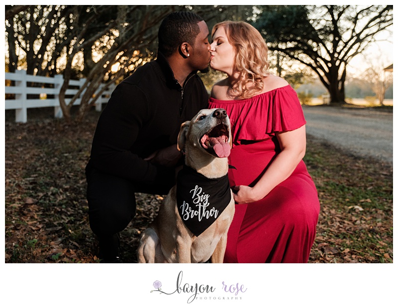 Baton Rouge maternity photo with dog at Rosedown