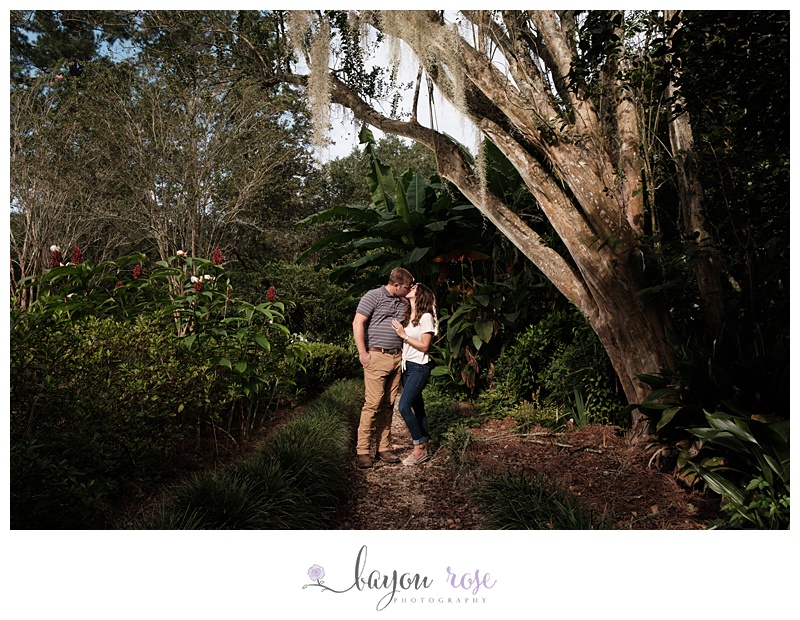 Engaged couple kissing under spanish moss tree