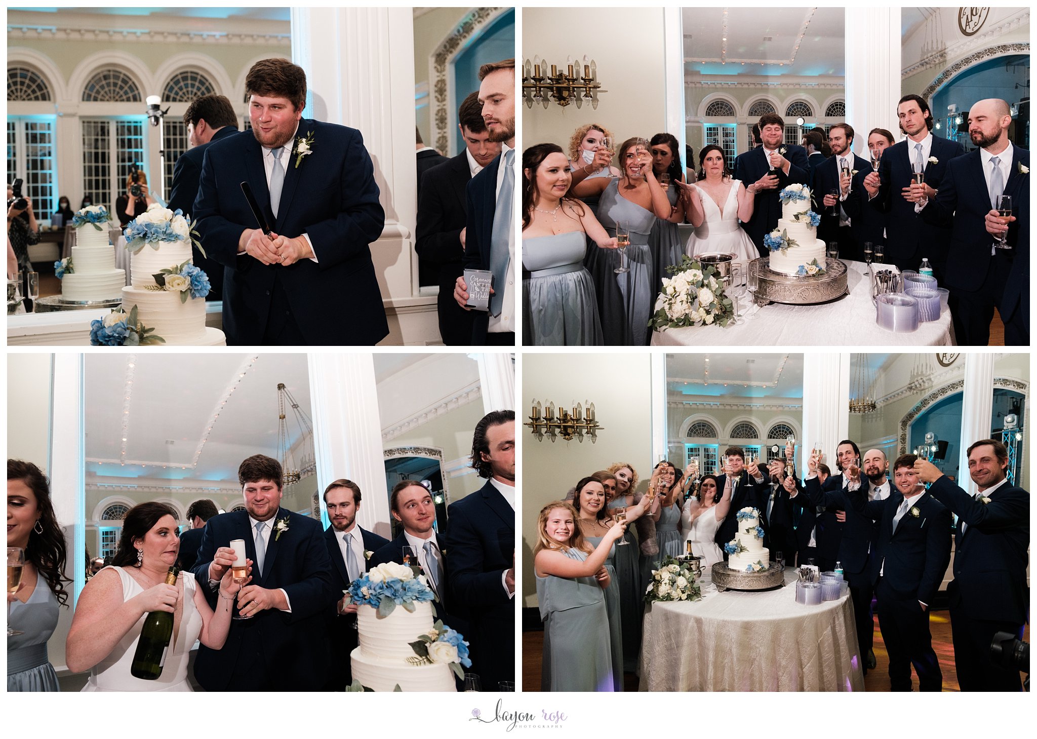 cake cutting and wedding toasts