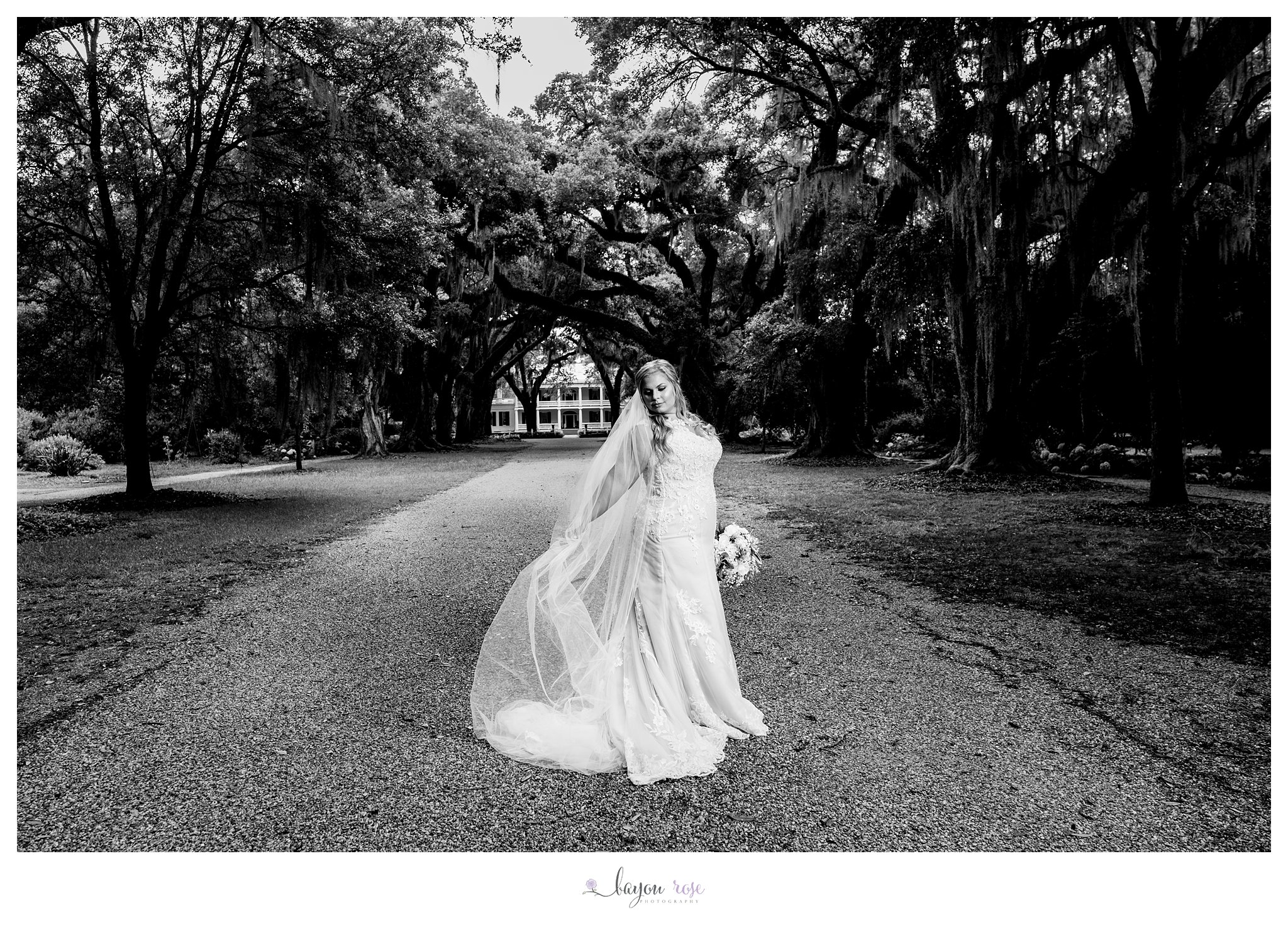 black and white bridal photo at Rosedown under the oaks