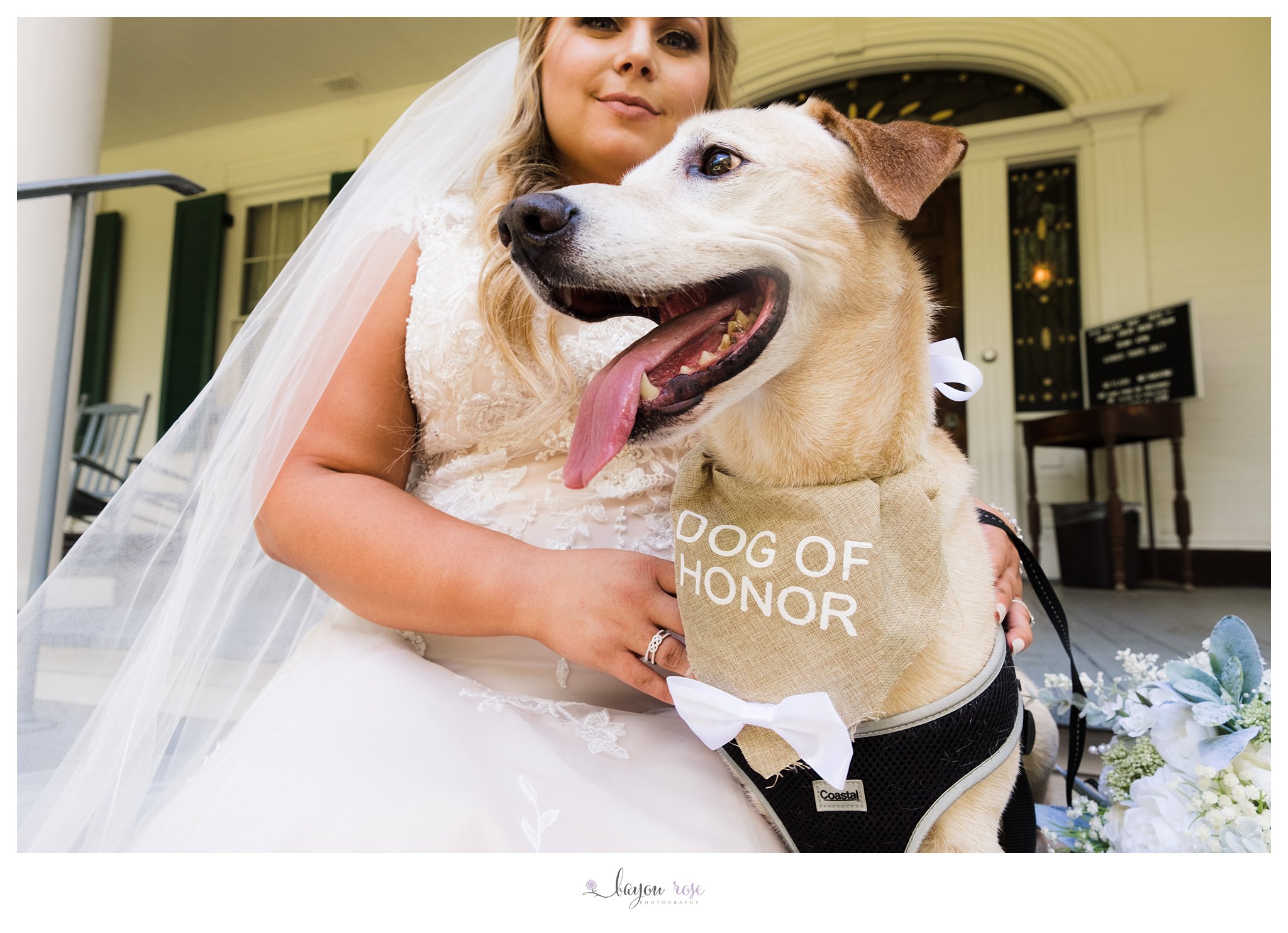 wedding photo with dog wearing Dog of Honor scarf