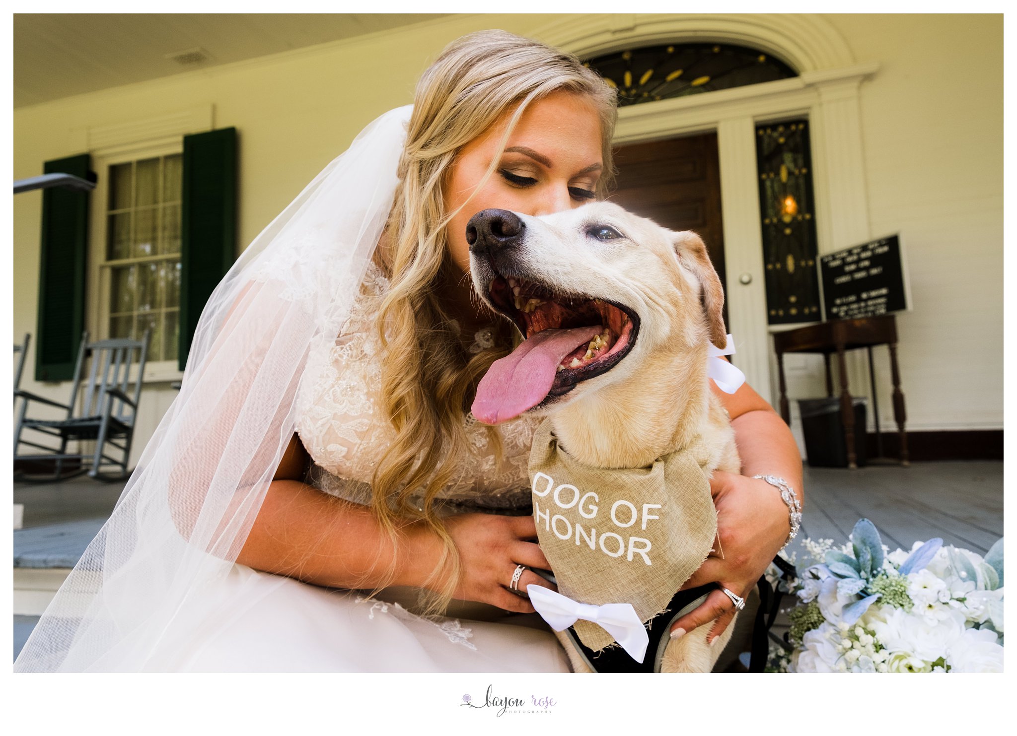 photo of dog with bride